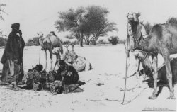 81 nomadas del desierto